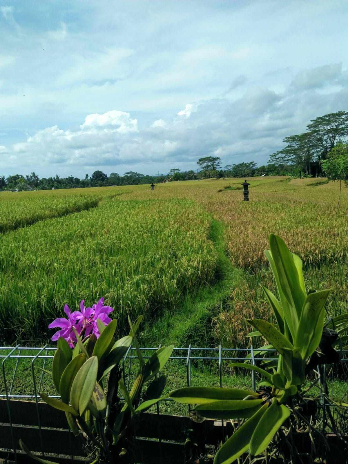 Putra House: Comfortable Home Near Ubud — Photo 1