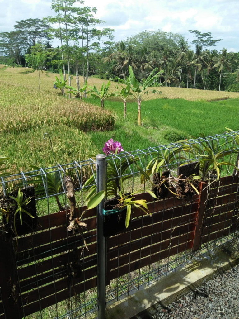 Putra House: Comfortable Home Near Ubud — Photo 2