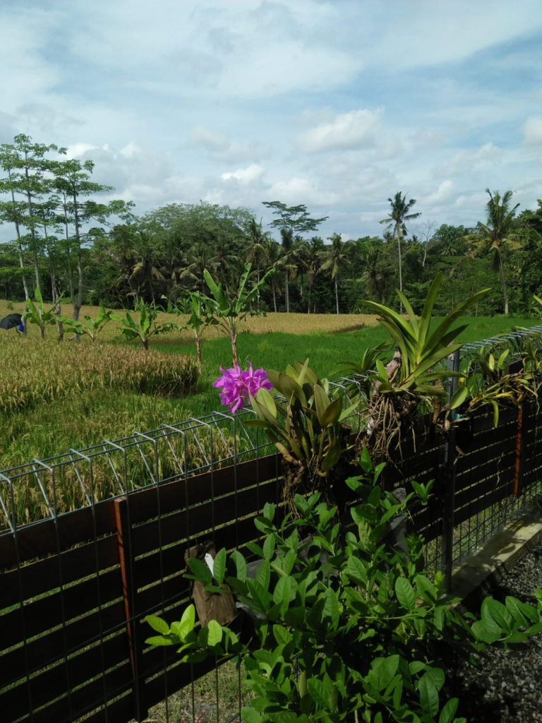 Putra House: Comfortable Home Near Ubud — Photo 3